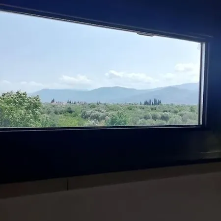 νοστοσ Aigio